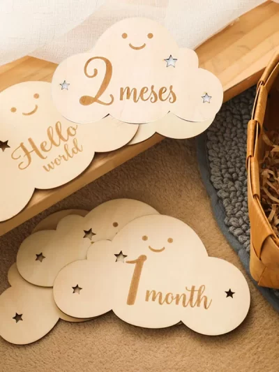 Wooden Baby Milestone Month Props