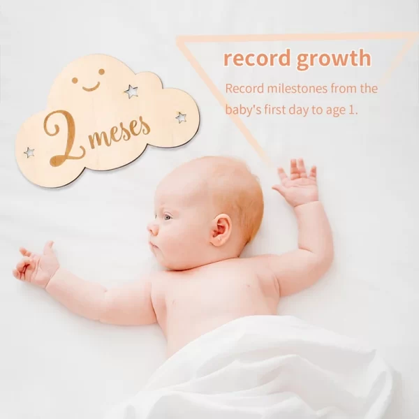 Wooden Baby Milestone Month Props - Image 3